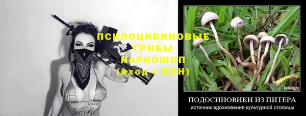 PSILOCYBIN Арсеньев