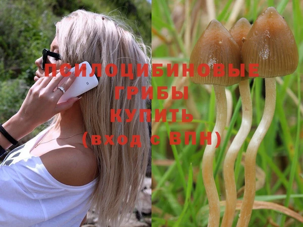 PSILOCYBIN Арсеньев