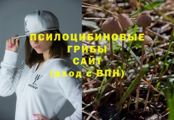 тгк Алексеевка