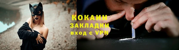 крисы Армянск
