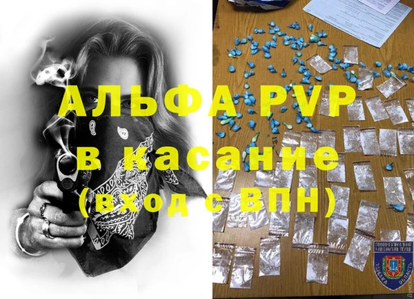 СК Аркадак