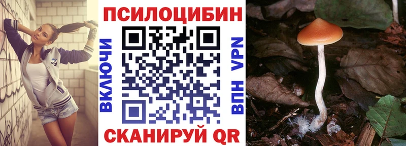 блэк спрут как зайти Долинск Галлюциногенные грибы Psilocybine cubensis